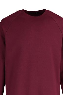TRENDYOL MAN Bordo Regular/Normal Kesim Ici Polar/S?cak Tutan Sweatshirt TMNAW23SW00189 - Trendyolmilla фото 31