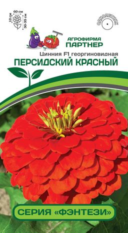 Цинния георгиновидная Фэнтези Персидский Красный