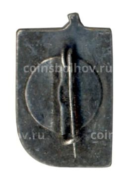 Значок Кострома
