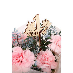 Цена за 5 шт. Топпер для торта «1 сентября», МИКС