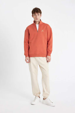 Мужская комфортная толстовка обычного кроя на молнии с высоким воротником и текстовым принтом - Defacto фото 2