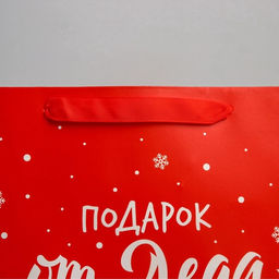 Пакет подарочный новогодний «Подарок от Деда Мороза», 25.5×30×9 см