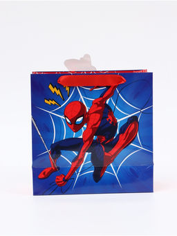 Цена за 2 шт. Пакет подарочный «Супергерой», 22 × 22 × 10 см