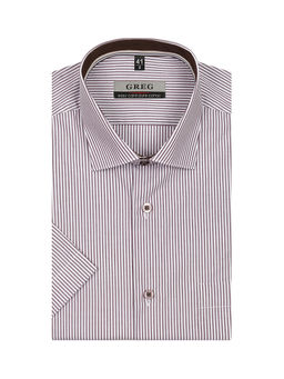 Сорочка мужская короткий рукав GREG 151/101/4121/1p