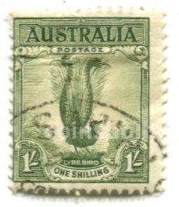 Марка Павлин Австралия