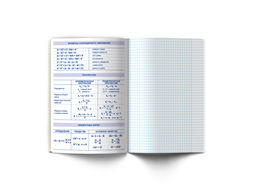 Светоч 48К37 Комплект тетрадей со справочным материалом Скучно не будет!, выборочный лак, A5 48 л. 12 шт. на скобе 65 г/кв.м , белизна 100 % , клетка/линия 01053 12 предметов  фото 20