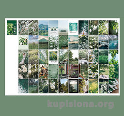 Набор наклеек Travel time - Купи слона фото 4