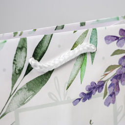 Цена за 2 шт. Пакет подарочный ламинированный, упаковка, Best wishes, MS 18 х 23 х 8 см