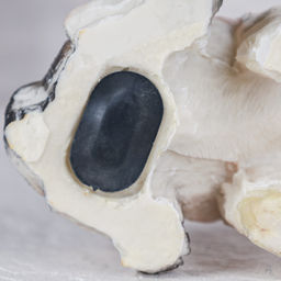 Копилка Собачка 15 см / CW421-28 /уп 60/ - Галеонтрейд фото 27