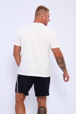 Шорты мужские 35336