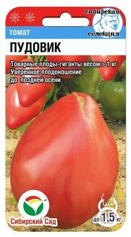 Пудовик томат 20шт (сс)