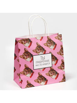 Цена за 2 шт. Пакет подарочный, упаковка, Киса, 22?22?11 см