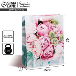 Цена за 2 шт. Пакет подарочный ламинированный, упаковка, «Радости!», ML 23 х 27 х 11.5 см