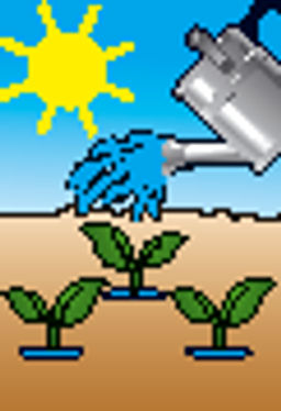 Смесь сухоцветов Зимняя радуга - Аэлита фото 3