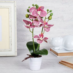 Цветочная композиция Орхидея 31 см / LM-797 /уп 72/ - Галеонтрейд фото 4