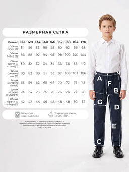 Брюки для мальчиков BRANGUS GZ502-IL