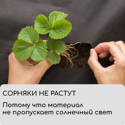 Материал мульчирующий, 10×1.6 м, плотность 80 г/м², спанбонд с УФ-стабилизатором, чёрный, Greengo, Эконом 30%