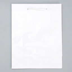 Цена за 2 шт. Пакет подарочный ламинированный, упаковка, «Белый», MS 18 х 23 х 8 см