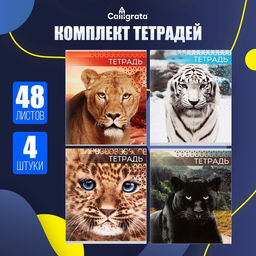 Комплект тетрадей из 4 штук, 48 листов в линейку «Дикие кошки», серые листы