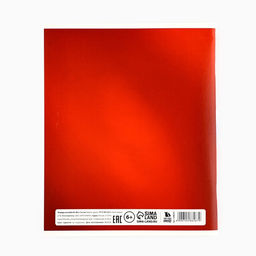 Цена за 2 шт. Тетрадь в клетку, 96 л., А5, на скрепке, блок №1 «Россия»