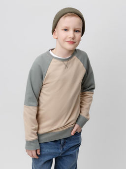 КР 302161-1/темно-бежевый джемпер (свитшот) для мал