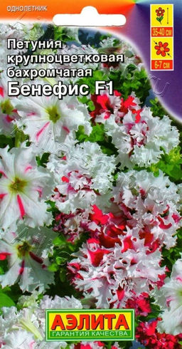 Петуния Бенефис F1 бахромчатая бело-розовая 7шт. (Аэлита)