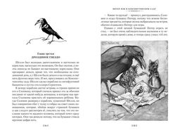 Питер Пэн и Венди. Дети воды. Ветер в ивах (илл. Э. Б. Вудворд, У. Х. Робинсон, А. Рэкхэм). Барри Дж.М., Кингсли Ч., Грэм К. - Азбука фото 5