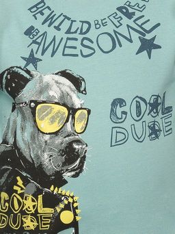 Pelican NFAJP4222 комплект для мальчиков  фото 4