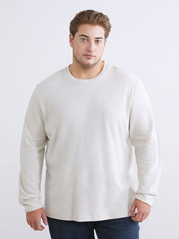 B?y?k Beden Bisiklet Yaka Erkek Sweatshirt