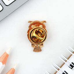 Набор монета и значок Учитель, 7.5 х 10 см - Семейные традиции фото 6