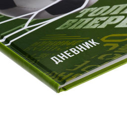 Цена за 2 шт. Дневник универсальный для 1-11 классов, «Футбол», твердая обложка 7БЦ, глянцевая ламинация, 40 листов