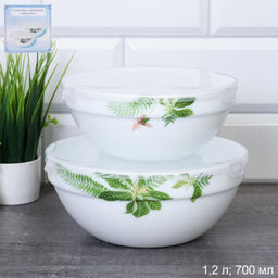 Салатник с крышкой 2 предмета / SW2A (6750) /уп 18/ Тропики - ГалеонТрейд фото 2