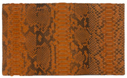 Клатч женский из кожи питона - Sefaro фото 2