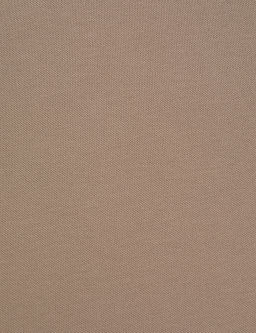 Kahverengi Regular Fit %100 Pamuk D__meli Polo Yaka Ti__rt