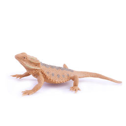 Набор животные "Удивительный мир" 13 предметов, в банке