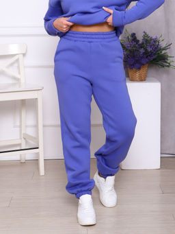 Брюки, футер с начесом 3-х нитка (01043, фиолетовый)