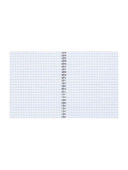 Набор тетрадей Calligrata. Capy, 3 штуки, 80 листов, на гребне, обложка из мелованного кратона