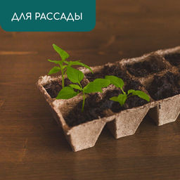 Цена за 60 шт. Кассета для рассады, 30×15×8 см, 8 ячеек по 150 мл, торф, 6×6 см