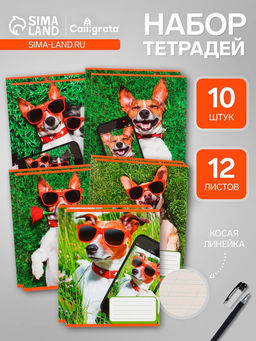 Тетради 10 штук, 12 листов в косую линию «СелфиDOG», обложка мелованная бумага, ВД-лак, блок №2, белизна 75% (серые листы), 5 видов