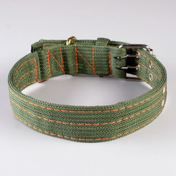 Ошейник четырехслойный с вертлюгом, 65 х 4 см, ОШ 54-60 см, полиэстер, зелёный - Пижон фото 2