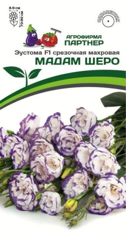 Эустома срезочная махровая голубая пикоти Мадам Шеро