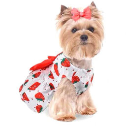 Цена за 2 шт. Платье для кошек и собак мелких пород "Бонита на прогулке", клубнички, размер ХL, длина спинки 32-34см