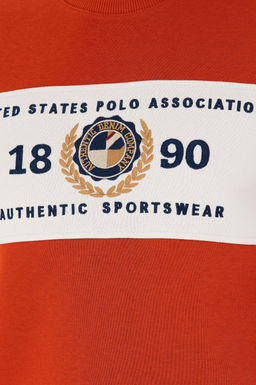Мужской свитшот с плиткой Неожиданная скидка в корзине - U.s. polo assn фото 14