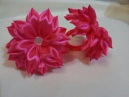 Цена за 2 шт. Заколки астра