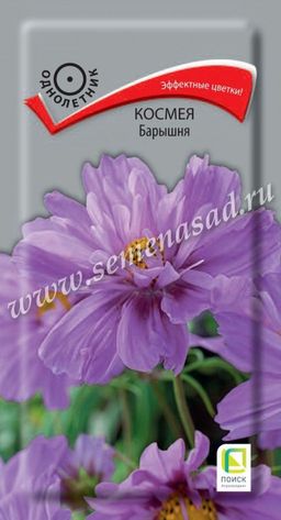 Космея Барышня (ЦВ) (1) 0,1гр.