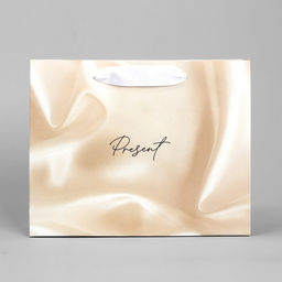 Пакет подарочный Present, 22 х 17.5 х 8 см - Дарите счастье фото 2