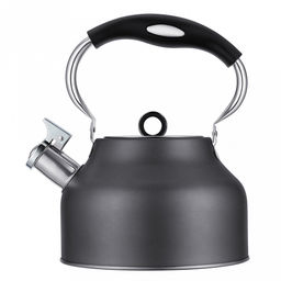 Чайник из нержавеющей стали Tea 2,5л, д23см, h19см, s0,34мм, дно s2мм, со свистком, капсульное дно, эргономичная пластмассовая ручка, цветная коробка, Regent (Китай) Подходит для всех видов плит, включая индукционную - Домашняя мода фото 2