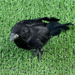 Цена за 2 шт. Фигурка «Ворон», 20×6×10 см