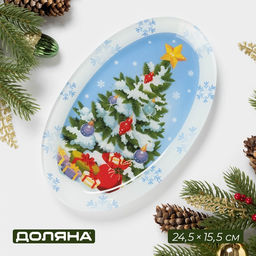 Блюдо новогоднее Доляна «Зимняя сказка», 24.5×15.5 см, овальное, стекло