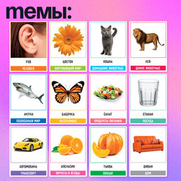 Развивающий набор «200 слов», учимся и развиваемся, по методике Глена Домана, 100 карточек, 1+